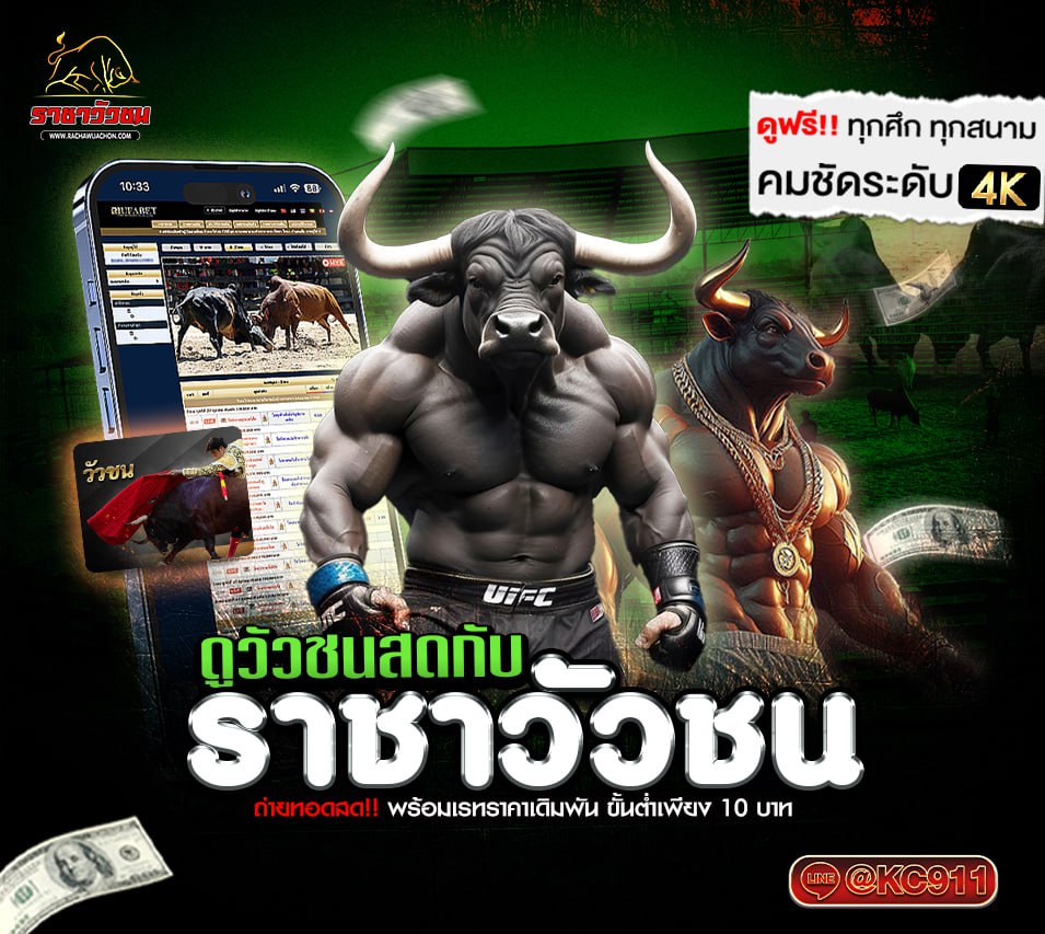 วัวชนออนไลน์ 17-6-2568