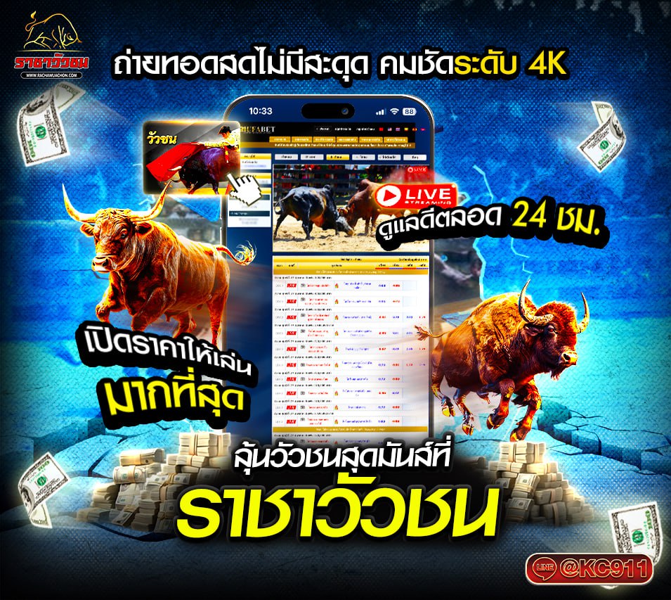 วัวชนออนไลน์ 27-5-2568