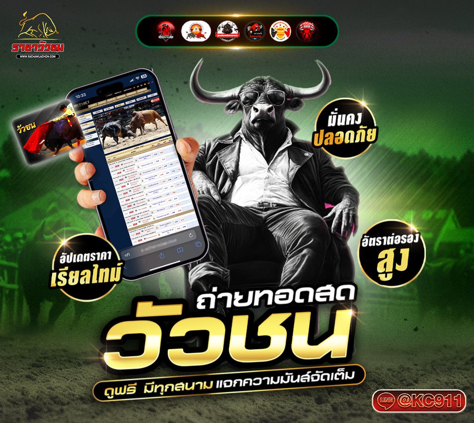 วัวชนออนไลน์ 28-5-2568