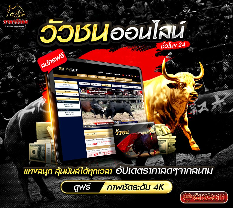 วัวชนออนไลน์ 30-5-2568