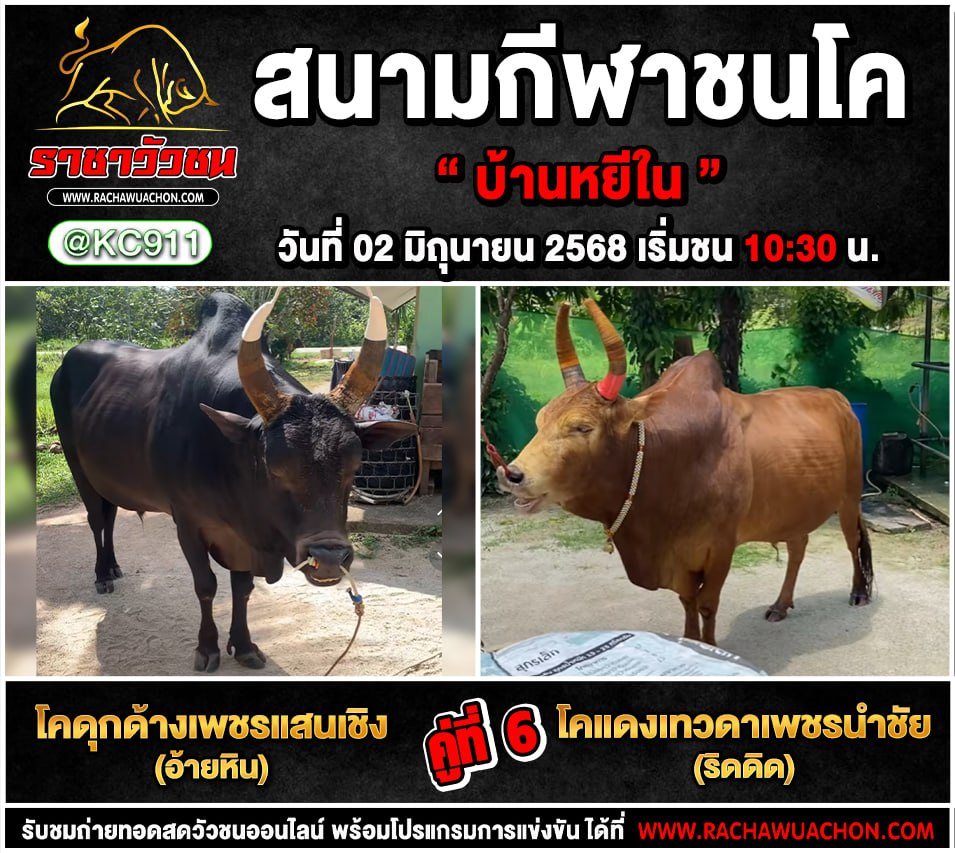 โปรแกรมวัวชน 2-6-2568