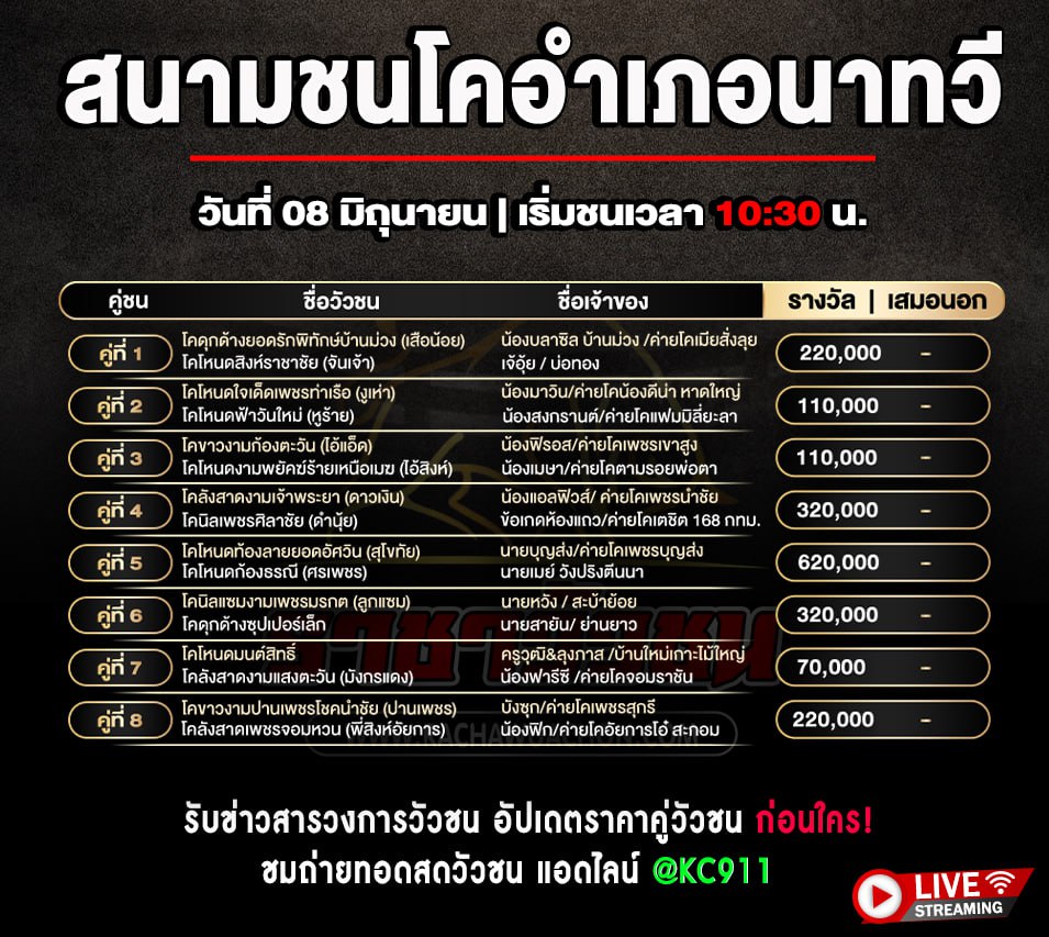 โปรแกรมวัวชน 8-6-2568