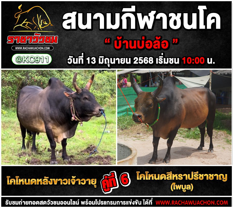 โปรแกรมวัวชน 13-6-2568