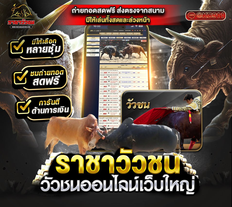 วัวชนออนไลน์ 14-6-2568