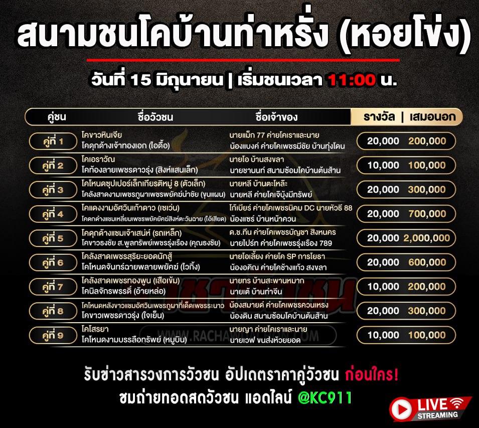 โปรแกรมวัวชน 15-6-2568