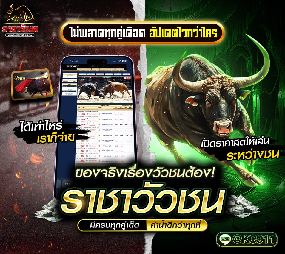 วัวชนออนไลน์ 26-6-2568