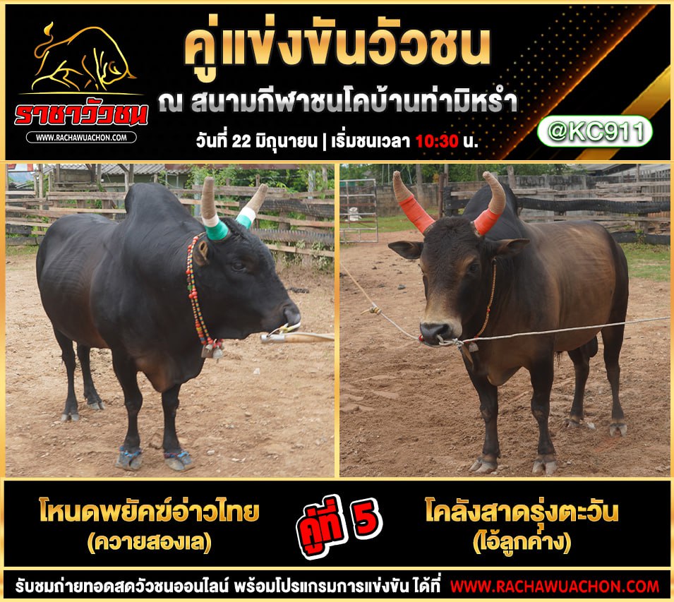 โปรแกรมวัวชน 22-6-2568