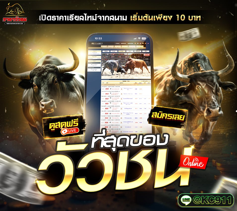 วัวชนออนไลน์ 25-6-2568