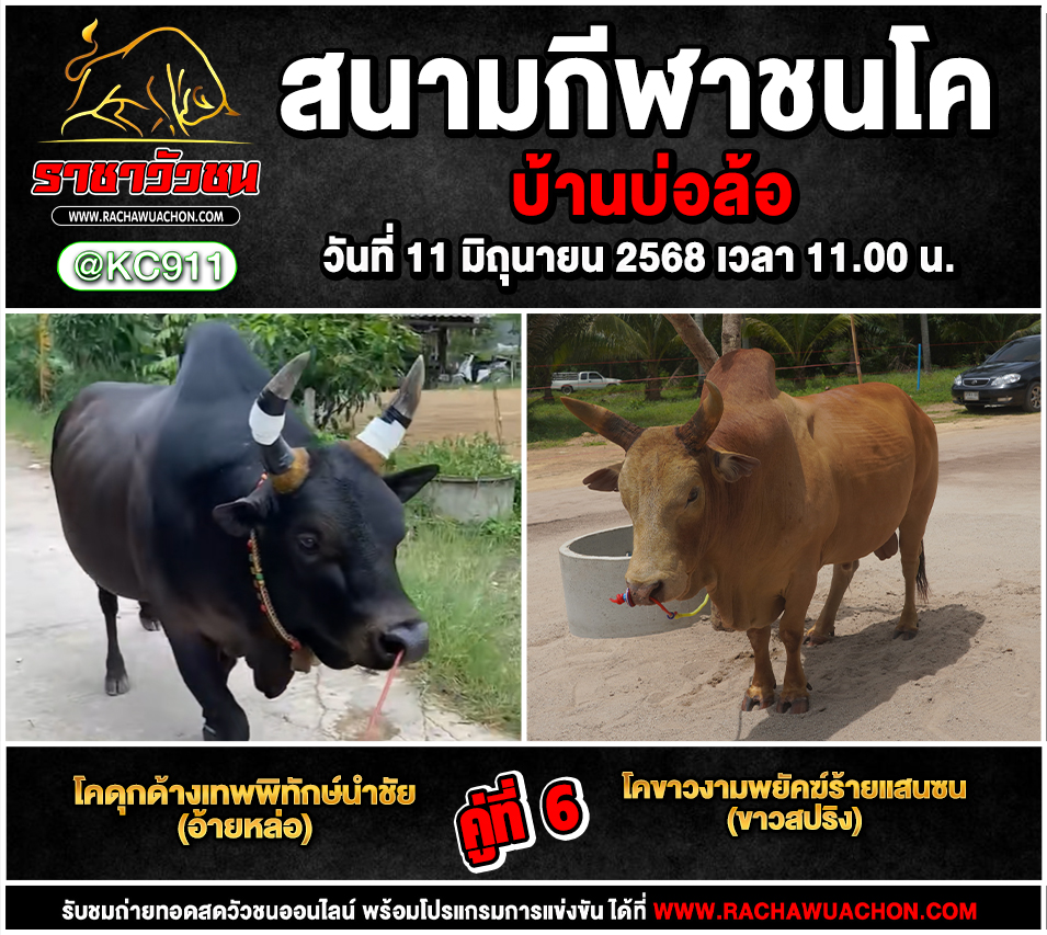 โปรแกรมวัวชน 11-6-2568