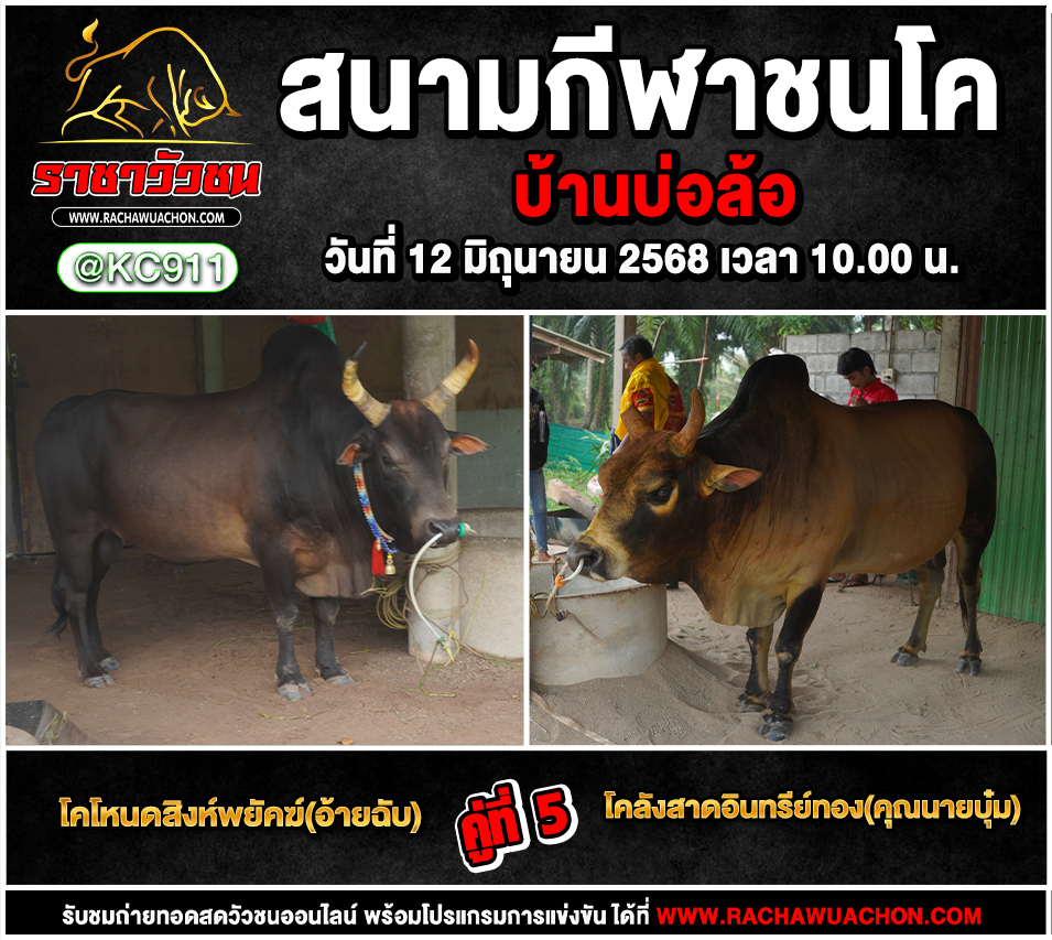 คลิปวัวชนย้อนหลัง 12-6-2568