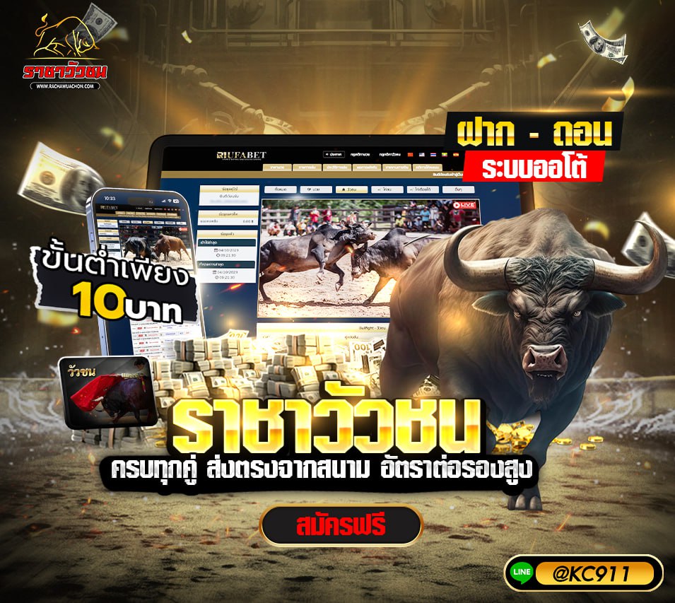 วัวชนออนไลน์ 12-7-2568