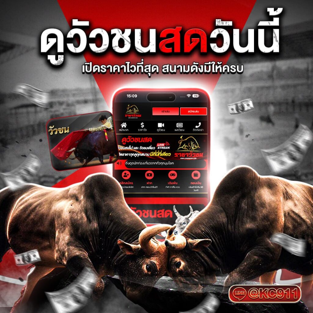 วัวชนออนไลน์ 10-7-2568