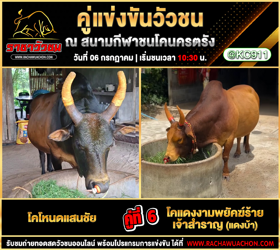 โปรแกรมวัวชน 6-7-2568