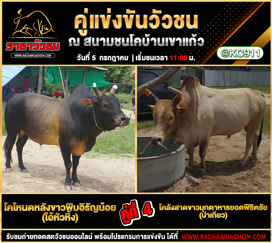 โปรแกรมวัวชน 5-7-2568