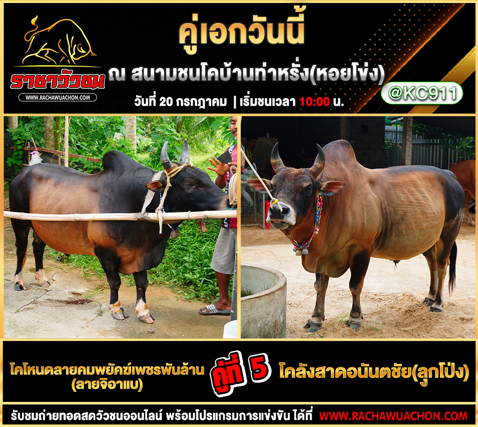 โปรแกรมวัวชน 20-7-2568