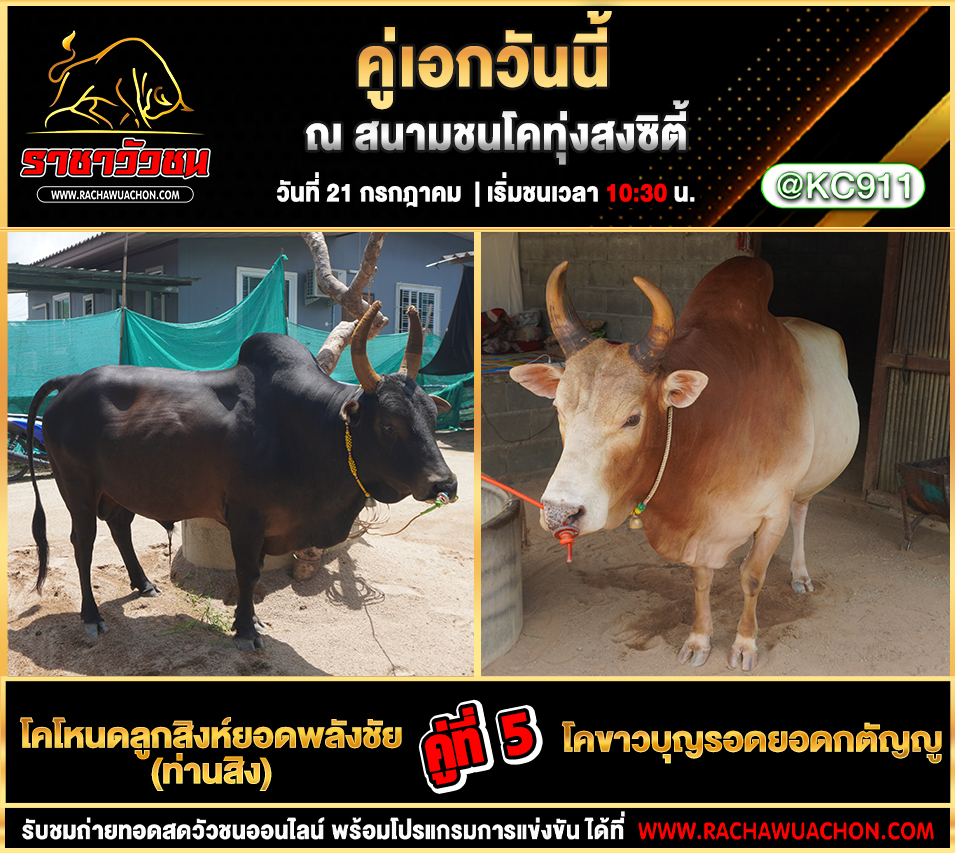 โปรแกรมวัวชน 21-7-2568