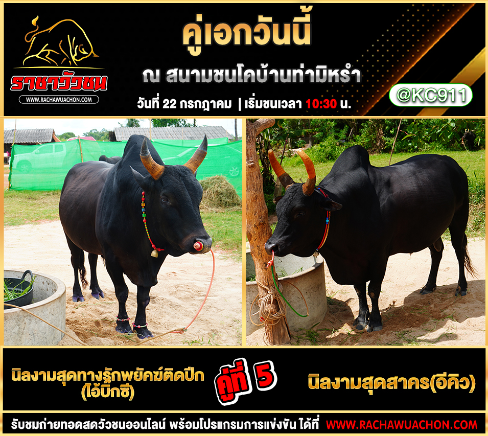 โปรแกรมวัวชน 22-7-2568