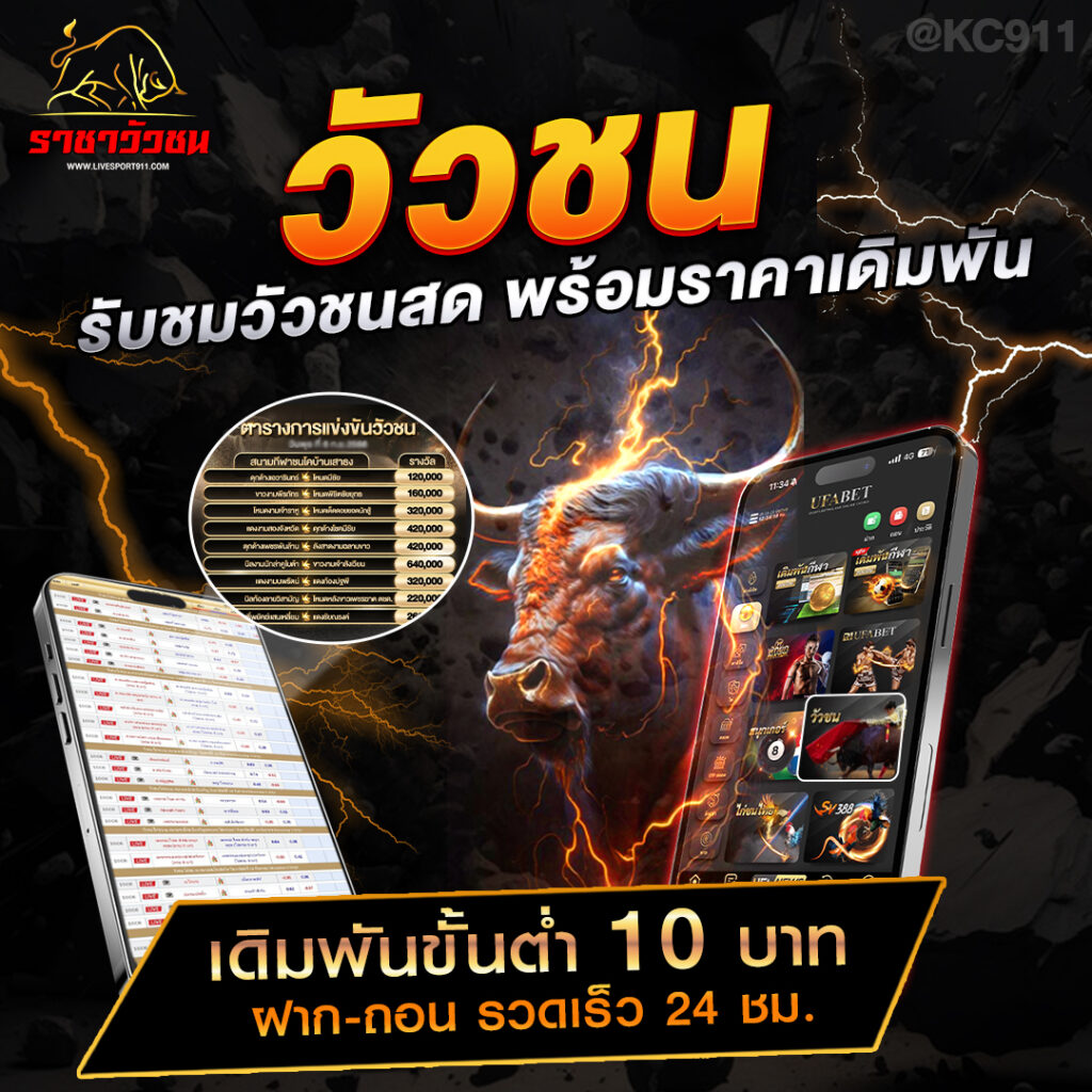 วัวชนออนไลน์ 16-7-2568
