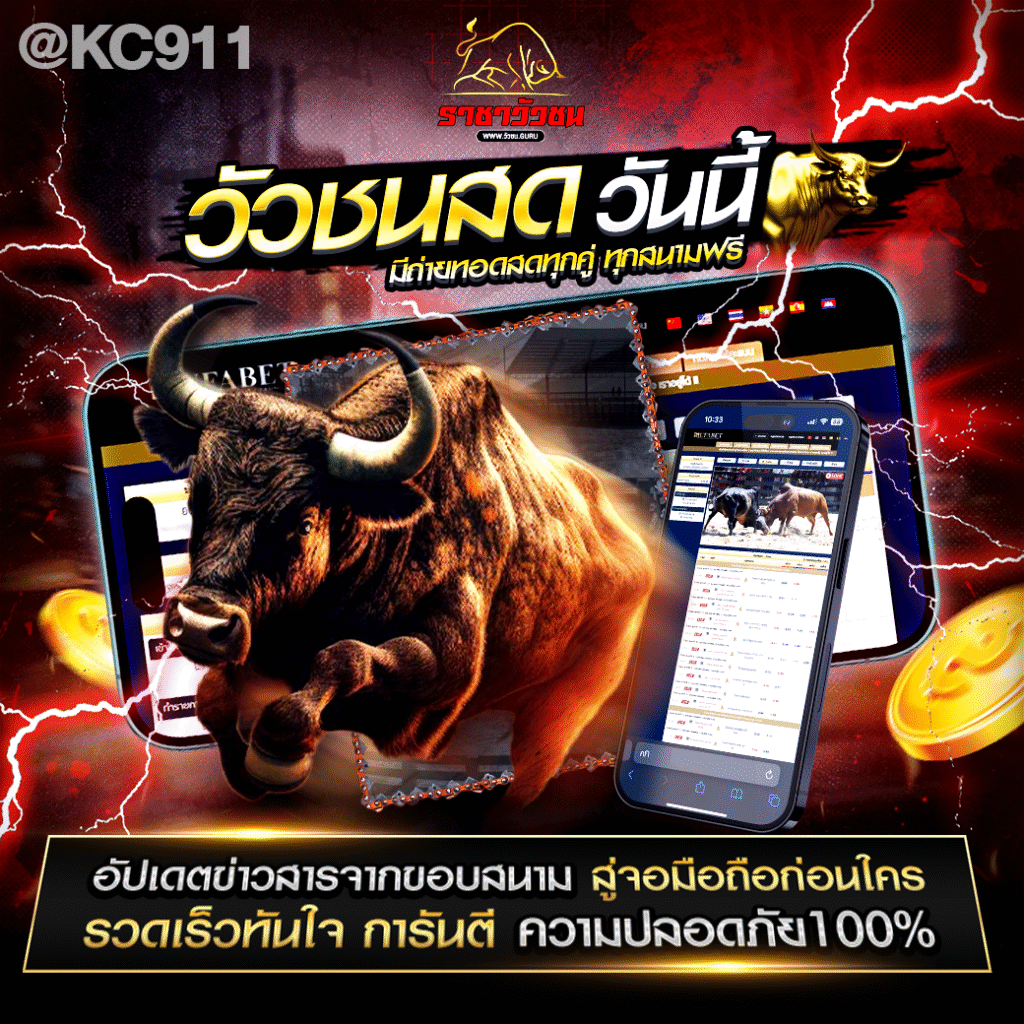 วัวชนออนไลน์ 15-7-2568