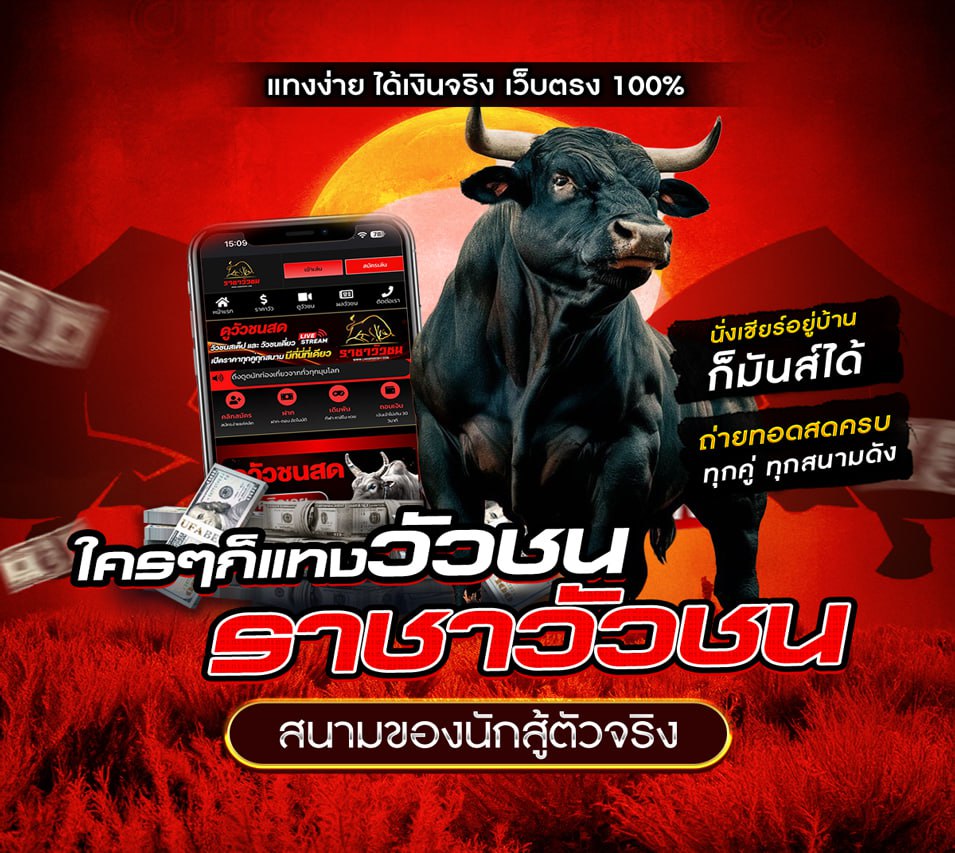 วัวชนออนไลน์ 6-8-2568