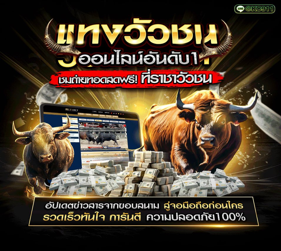 วัวชนออนไลน์ 7-8-2568