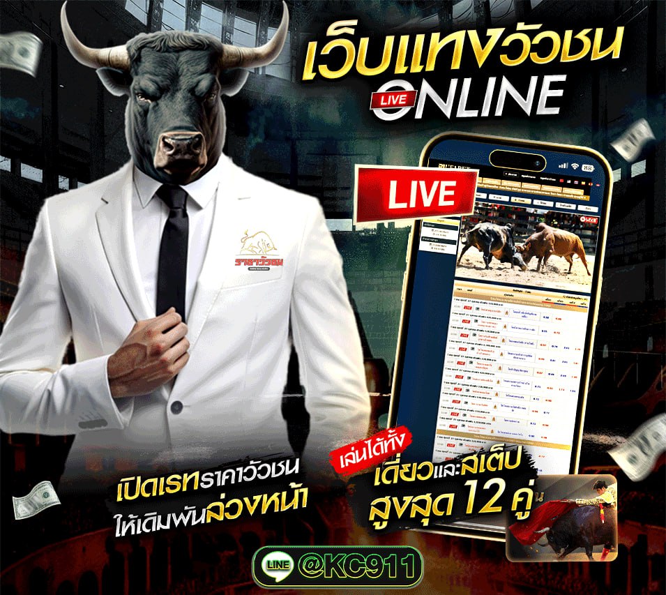 วัวชนออนไลน์ 13-8-2568