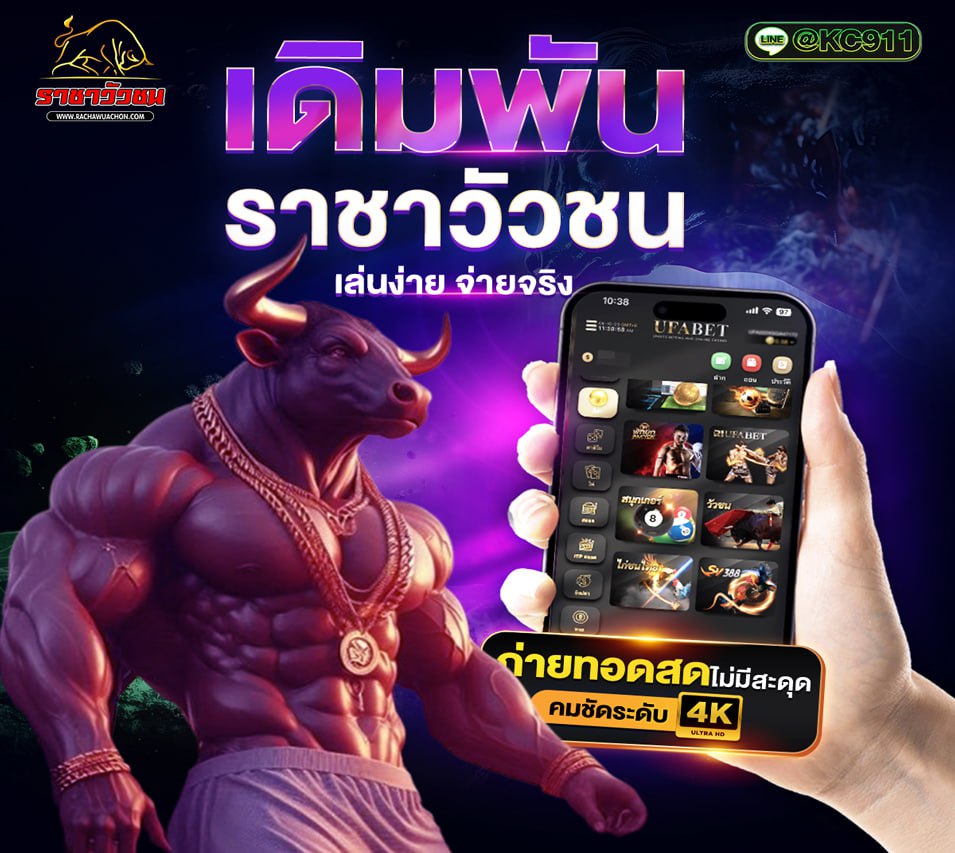 วัวชนออนไลน์ 16-8-2568