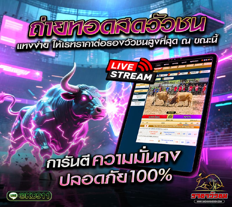 วัวชนออนไลน์ 18-8-2568