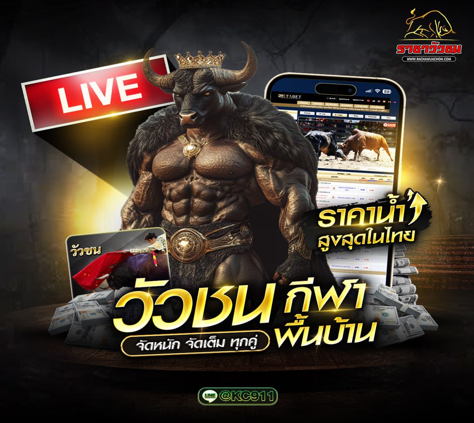 วัวชนออนไลน์ 19-8-2568