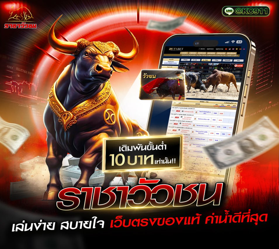 วัวชนออนไลน์ 26-8-2568