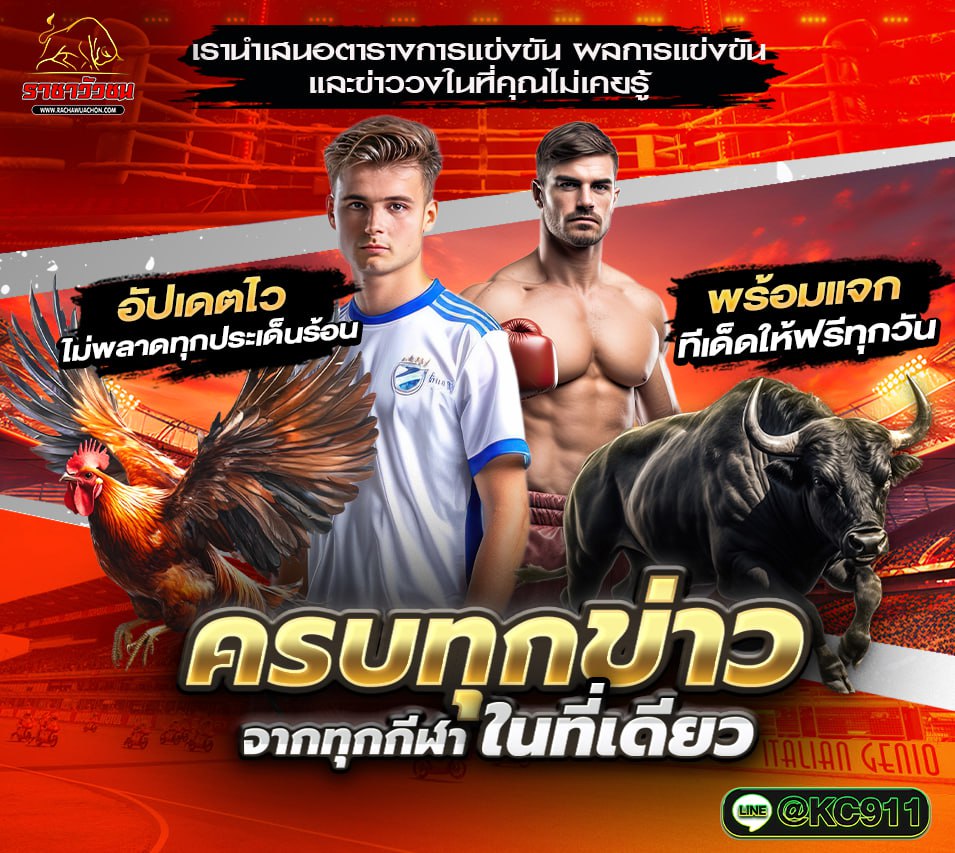 วัวชนออนไลน์ 3-8-2568