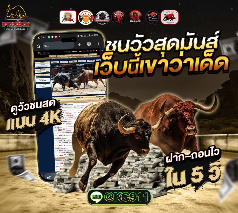 วัวชนออนไลน์ 11-8-2568