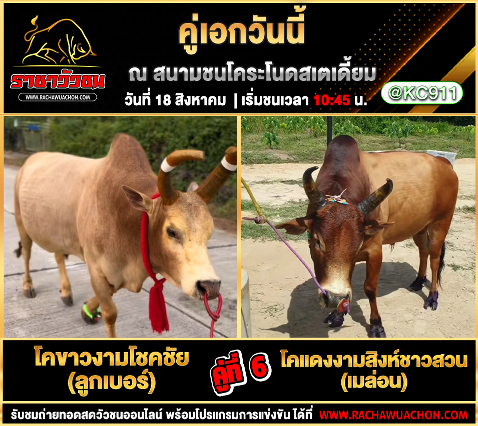 โปรแกรมวัวชนวันนี้ 18-8-2568
