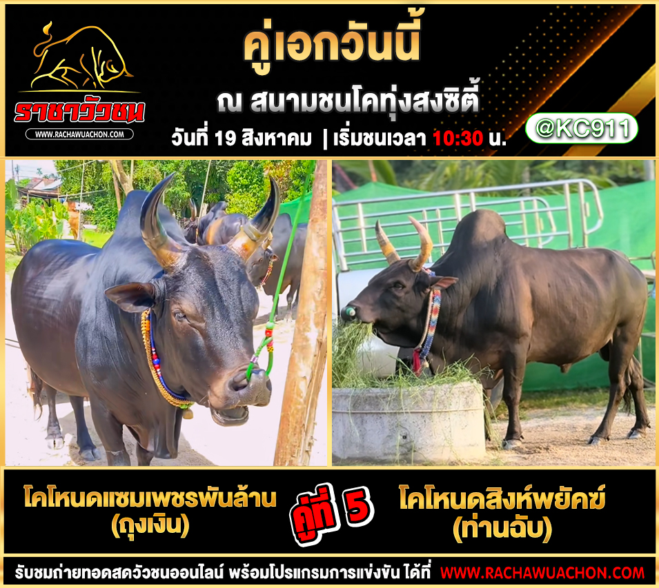 โปรแกรมวัวชนวันนี้ 19-8-2568
