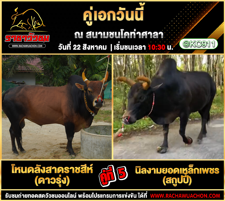 โปรแกรมวัวชนวันนี้ 22-8-2568