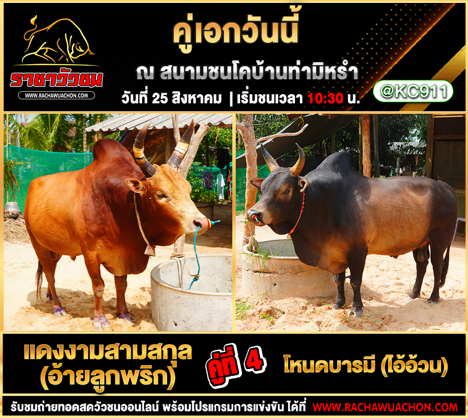โปรแกรมวัวชนวันนี้ 25-8-2568