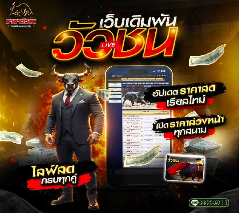 วัวชน 4-9-2568