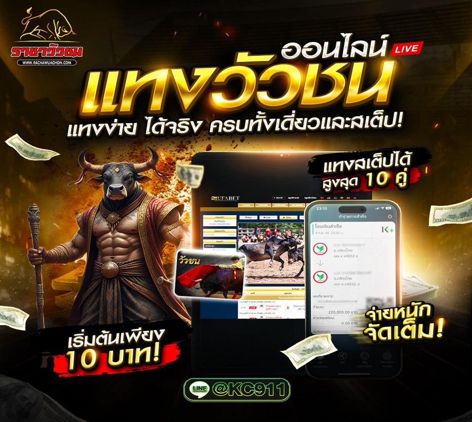 วัวชน 2-9-2568