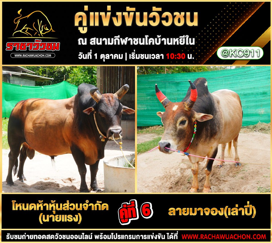 โปรแกรมวัวชนวันนี้ 1-10-2568