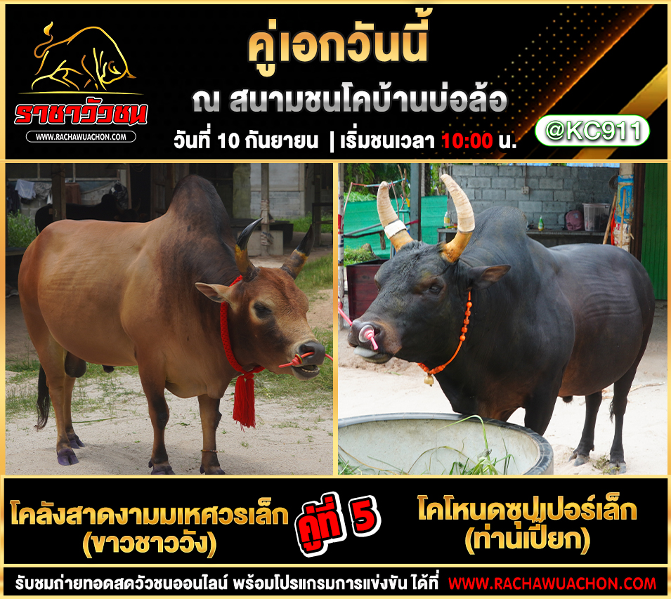 โปรแกรมวัวชนวันนี้ 10-9-2568