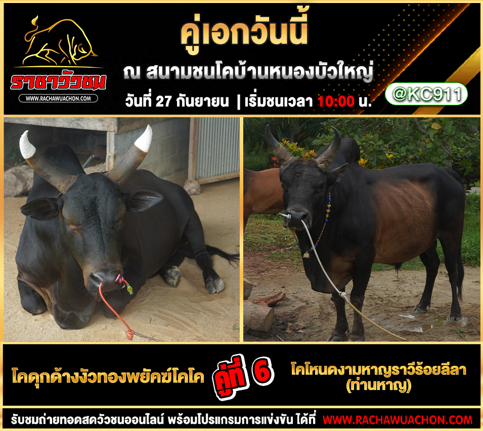 โปรแกรมวัวชนวันนี้ 27-9-2568