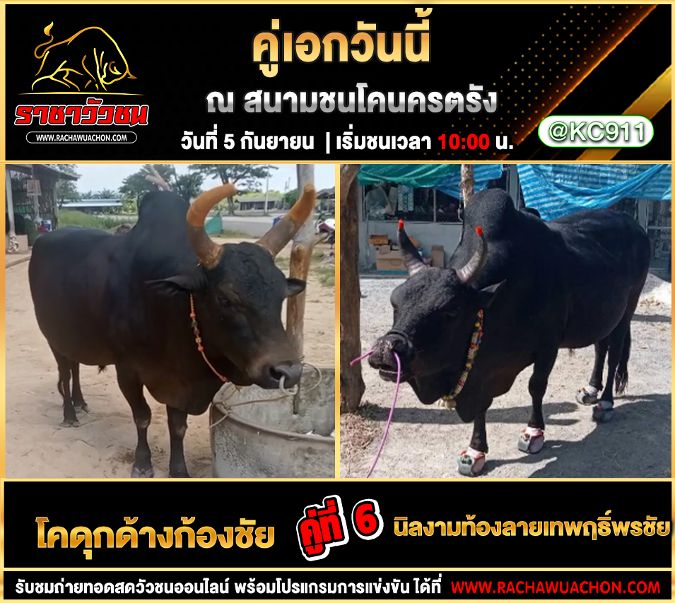 โปรแกรมวัวชนวันนี้ 5-9-2568