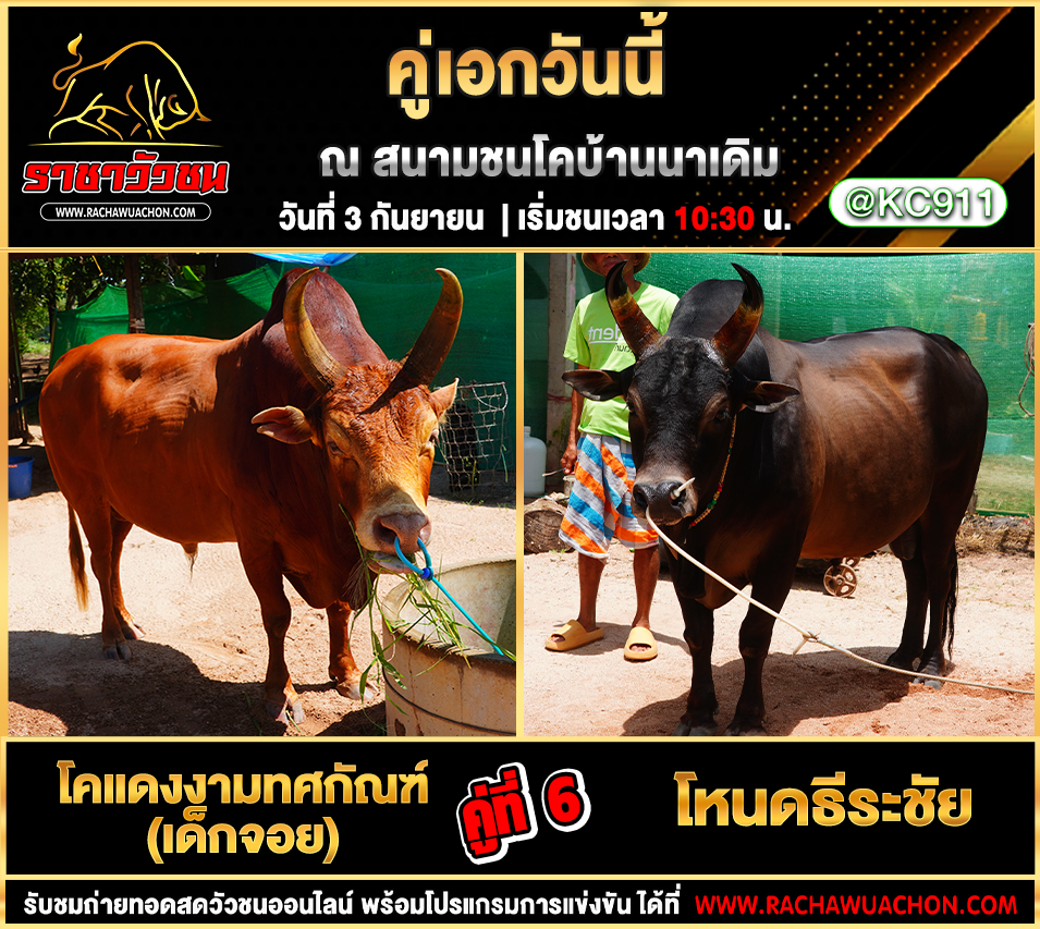 โปรแกรมวัวชนวันนี้ 3-9-2568