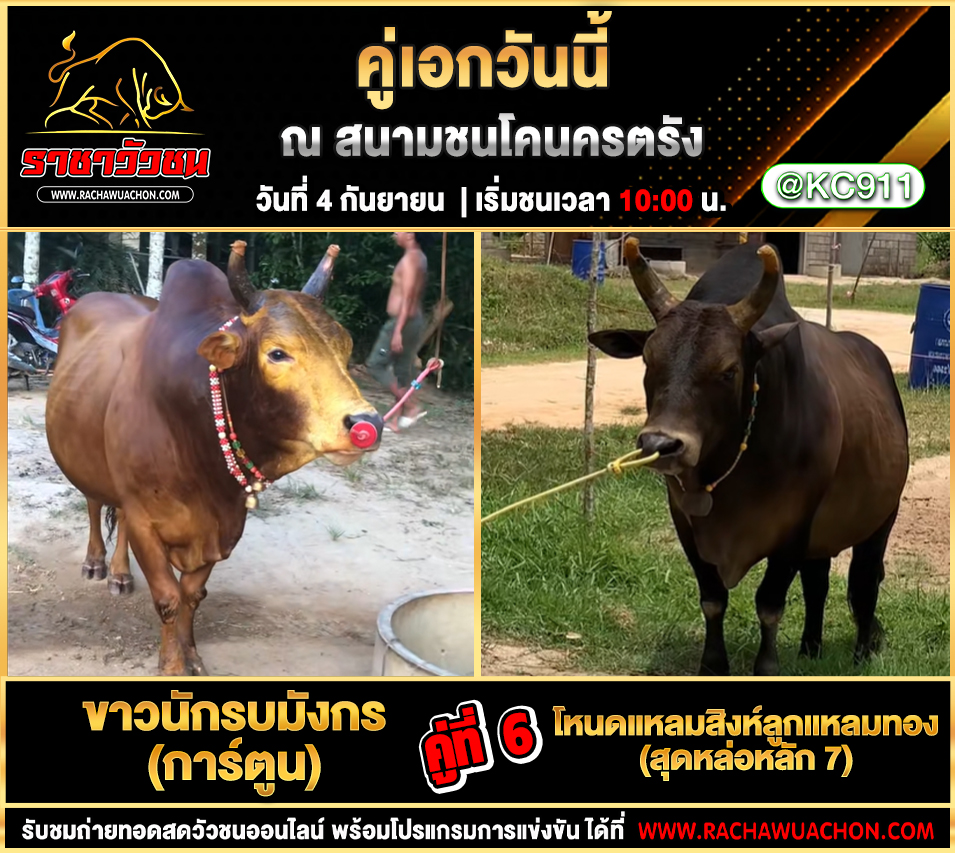 โปรแกรมวัวชนวันนี้ 4-9-2568