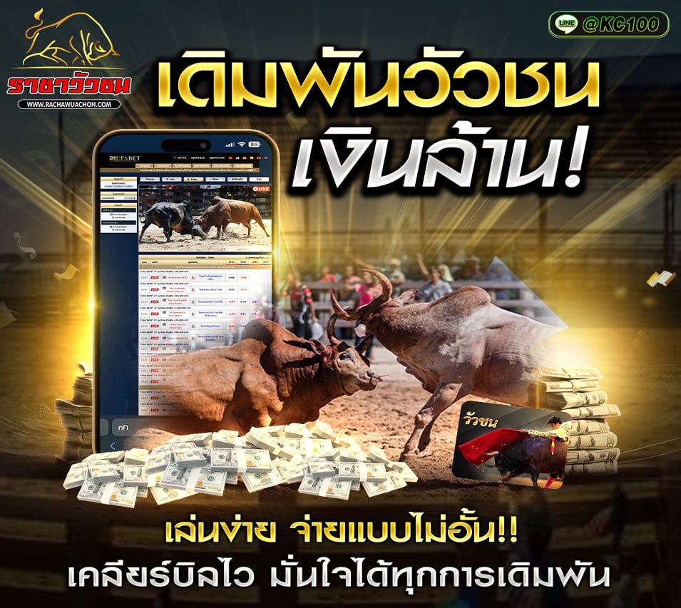 ทีเด็ดวัวชนวันนี้