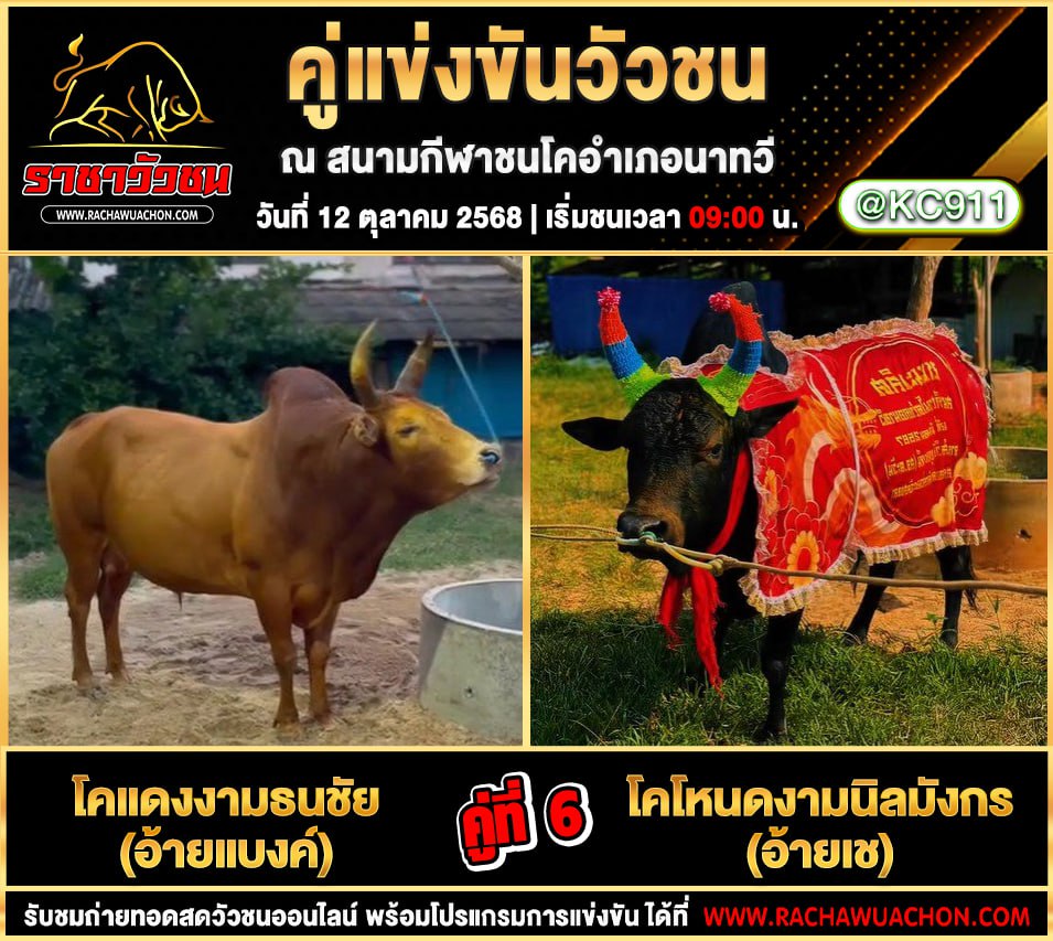 โปรแกรมวัวชนวันนี้ 12-10-2568