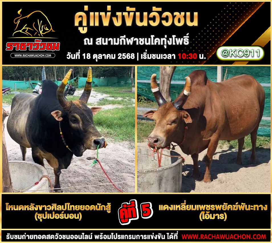 โปรแกรมวัวชนวันนี้ 18-10-2568