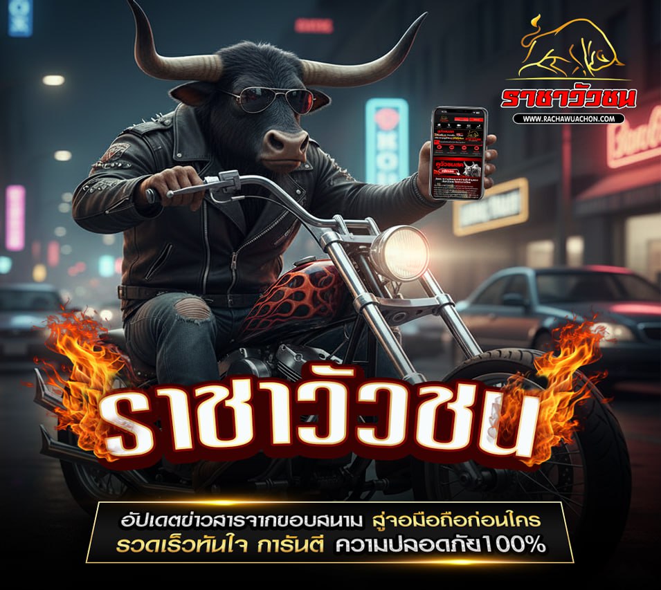 วัวชนวันนี้ 16-10-2568