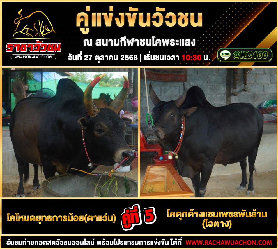 โปรแกรมวัวชนวันนี้ 27-10-2568