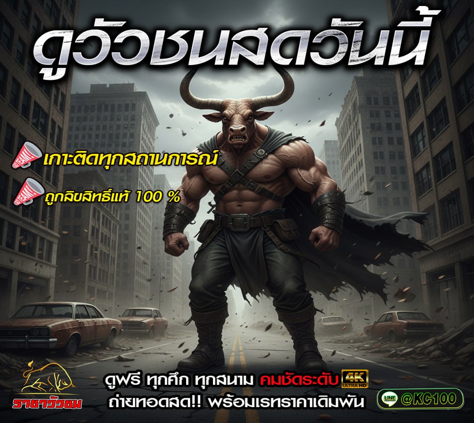 โปรแกรมวัวชนวันนี้ 27-10-2568